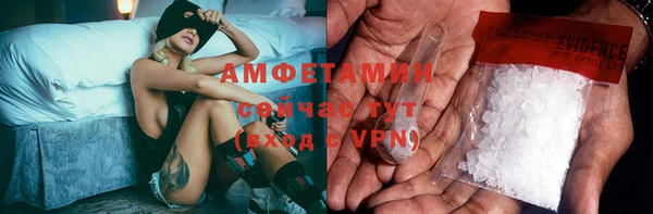 сатива Надым