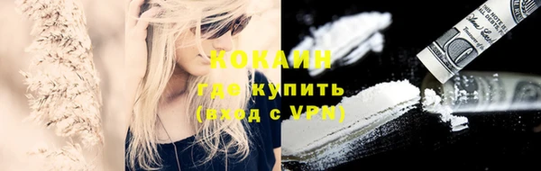 сатива Надым