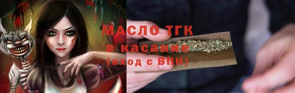 сатива Надым