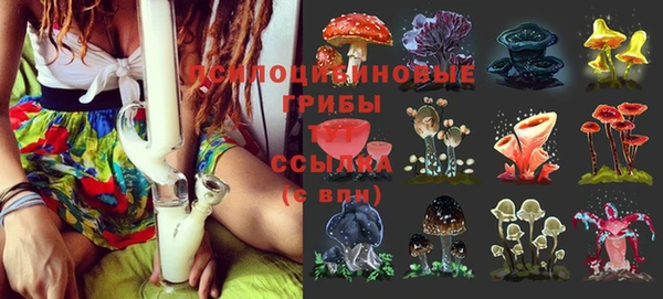 СК Навашино