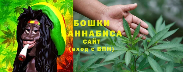 сатива Надым