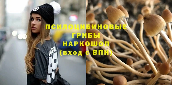 СК Навашино